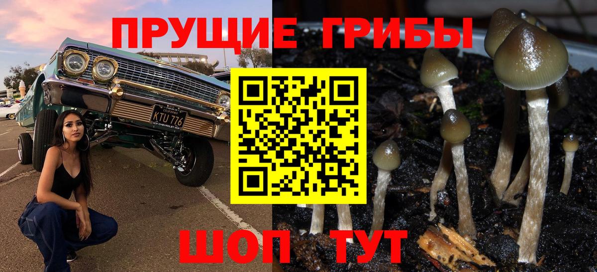 Щёкино  Галлюциногенные грибы Magic Shrooms  Вход с VPN 
